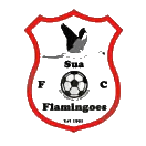 博茨瓦納警察XI SC